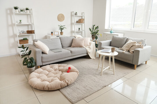 Interior of light living room with grey sofas and pet bed