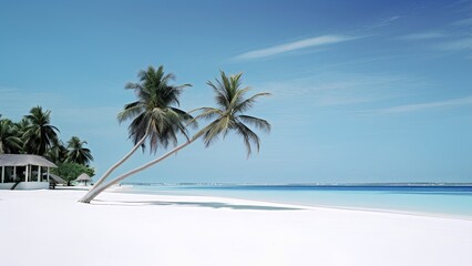 beach with palm trees