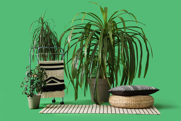 Obraz premium Plants with pouf and rug on green background