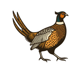 pheasant bird vintage hand drawn vector