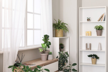 Interior of stylish room with houseplants, window, shelving unit and chest of drawers
