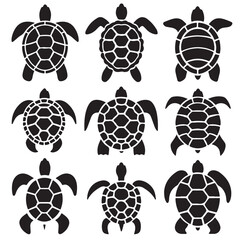 Turtles Vector Set