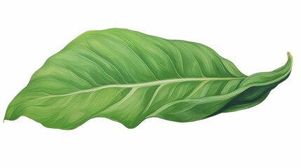 This is a watercolor painting of a single leaf