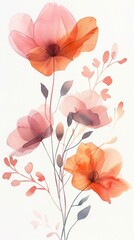 Summer, wild flowers, watercolor, illustration, hand drawn. Set of isolated elements of flowers, abstract art.
