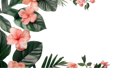 Tasteful arrangement of hibiscus flowers and monstera leaves on on transparent background, leaves with copy space for design flexibility, perfect for spring or summer themes 