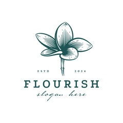 Hand Drawn Frangipani or Plumeria Flower Logo, Floral Emblem Design