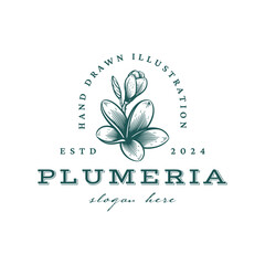 Hand Drawn Frangipani or Plumeria Flower Logo, Floral Emblem Design