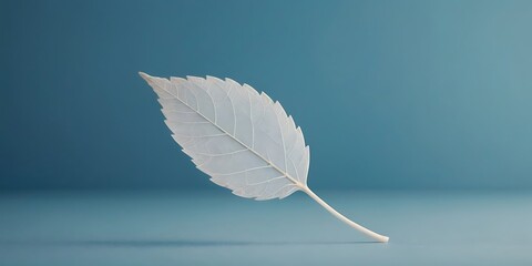 Creating an Expressive and Artistic Image that Captures the Beauty and Purity of Nature, Beautiful White Skeletonized Leaf Rests on a Light Blue Background, Surrounded by Round Bokeh
