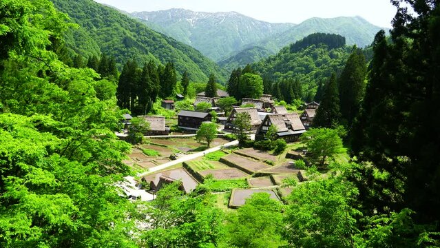 展望台から望む　初夏の五箇山　相倉集落