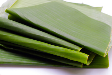 Green leaves of banana tree