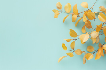  Leaves  on Light Background 