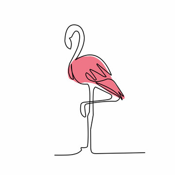 recommend clip art: pink flamingo isolated on white one line art 
