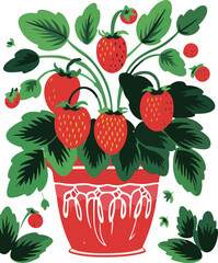 Strawberry Plant in Pink Pot
