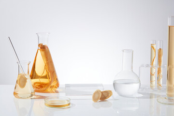 Ginseng and laboratory utensils concept photo was shot from front view with glass showcase pedestal...