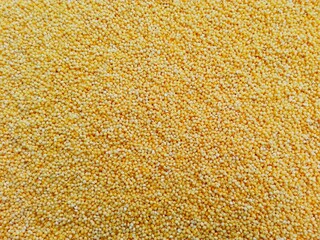 Polished millet texture  background. Cereal millet plant grown in warm countries on poor soils. Dry millet used for flour or porridge - diet gluten free vegan food, traditional russian meal, bird meal