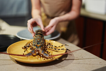 Freshly Caught Lobster on a Yellow Plate with Knife and Fork on Kitchen Countertop CloseUp View