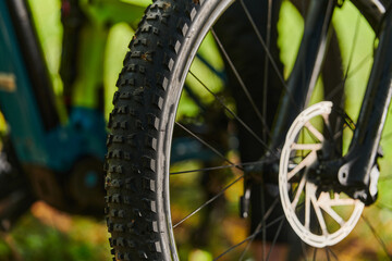 A sports bicycle races through the park, its components in focused motion spinning wheels, agile...
