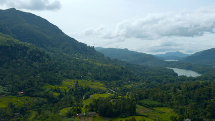 Aerial view of forest with lush tropical vegetation. Action. Giant forested green mountains and cloudy sky.