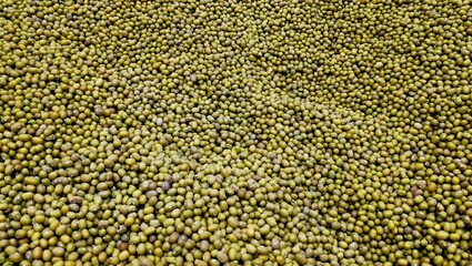 Lot of mung beans background. Big heap of green mung beans in supermarket. Close up pile dry legumes organic farm. Mung bean (Vigna radiata) also known as moong bean, monggo,  green gram, or mung