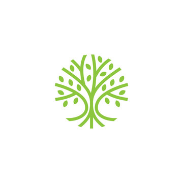 recommend clip art: tree logo vector illustration, circle nature tree logo template