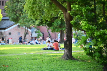 TW-08.26.23: Huashan 1914 Cultural and Creative Industry Park offers a sprawling green space in Taipei's bustling downtown, providing a tranquil retreat for picnics, kite flying, and leisurely strolls