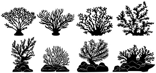 set black Tropical coral silhouette icon. sea coral symbol design vector illustration