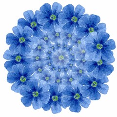 Wreath of blue flax flowers. Watercolor hand drawn illustration on white background. Healthy food, diet and cosmetic products. Template for design textiles, printing, packaging.