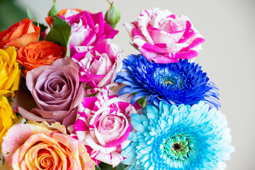 Fototapeta premium 色とりどりの花