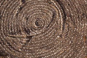 Abstract view of a section of an old room rug on the ground