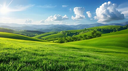 A scenic view of green rolling hills, scattered trees, and wildflowers under a sunny blue sky with fluffy clouds.