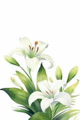 lily themed frame or border for photos and text. with elegant white petals and green stems. watercolor illustration, Perfect for nursery art, simple clipart, single object, white color background. 