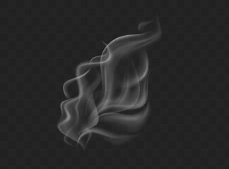 Fototapeta premium Smoke vector collection. White isolated cigarette smoke. Transparent special effect. Vector illustration.