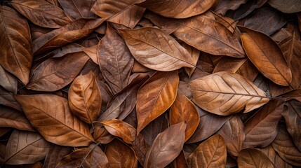  A mass of brown leaves stacked on a brown leaf bed, resting atop another brown leaf bed, all lying on the ground - Powered by Adobe