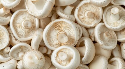 Mushrooms, stacked high..Pile 2: White mushrooms atop, Pile 1..Pile 3: More