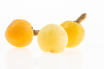 White jade loquat on white background in Suzhou, Jiangsu Province, China