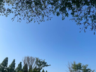 sky garden party
