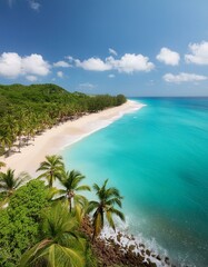 Fototapeta premium beach with palm trees, Aerial view of a summer beach with turquoise waters and clear skies