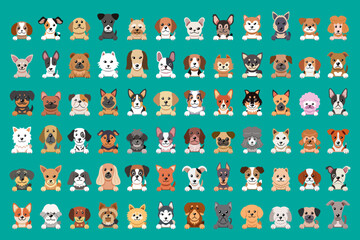 Different type of vector cartoon dog faces for design.