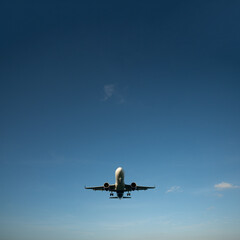 Landing passenger jet airplane at daytime.