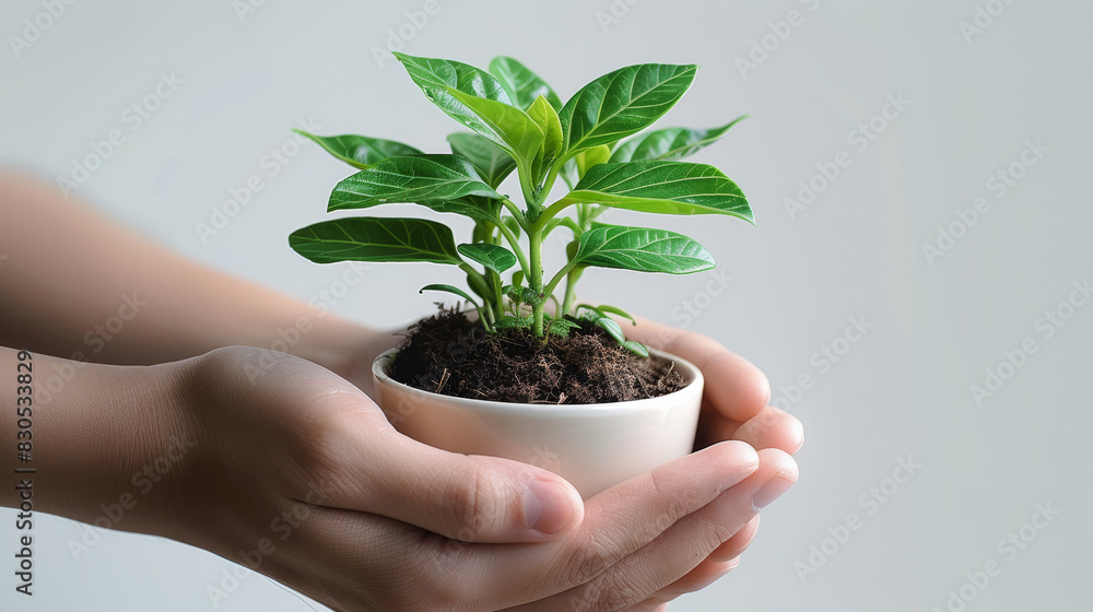 Poster hands holding plant side view isolated on white background. generative ai.