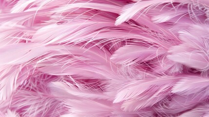  A close-up view of a pink background filled with feathers, densely accumulated at the bottom