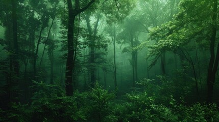 Obraz premium Image of a dense forest with dark green hues