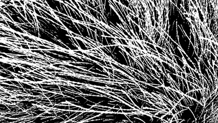 12-9. Hay texture effect - illustration. Hay black and white vector texture.