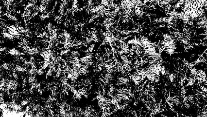 12-75. Tree Leaf Texture Effect - Illustration. Old Tree Leaf Black and White Vector Texture.	