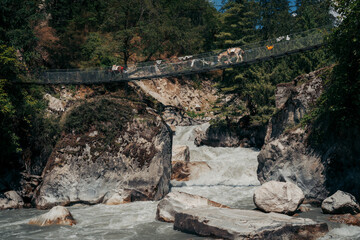 Mules crossing a bridge on the way to Syala village on Manaslu Circuit Trek, Nepal