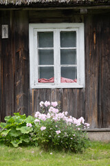 a beautiful wooden window frame of a historic log building. Old house in Latvia, Europe.