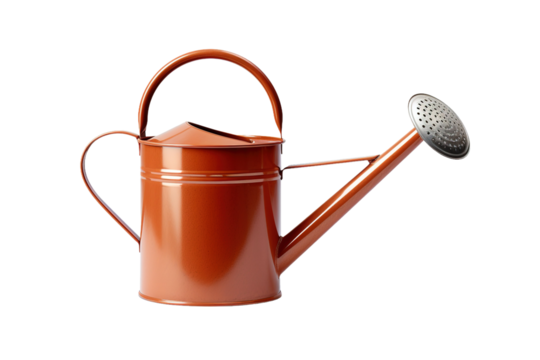 The Leaky Symphony: Harmonious Gardening With the Strainer-Watering Can on White or PNG Transparent Background.