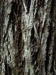 textura