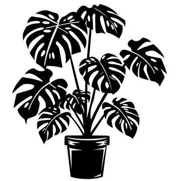 black monstera plant in pot clip art preview