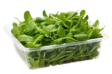 Sprouting Serenity: A Plastic Container Brimming With Vibrant Green Life on White or PNG Transparent Background.